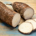 یوکا کاساوا Yuca Cassava